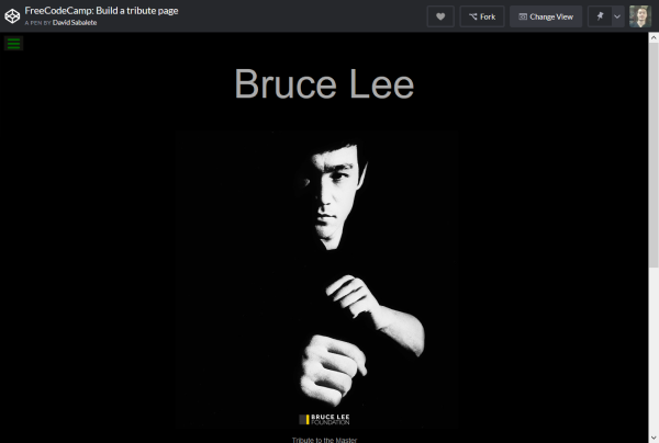 Bruce Lee tribute page